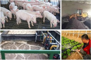 養(yǎng)殖廢水設(shè)計(jì)水解酸化池的作用