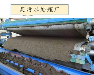 陽(yáng)離子聚丙烯酰胺的用途