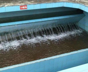 污水處理用陰離子聚丙烯酰胺