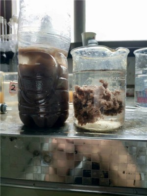 工業(yè)污泥處理中的陽離子聚丙烯酰胺