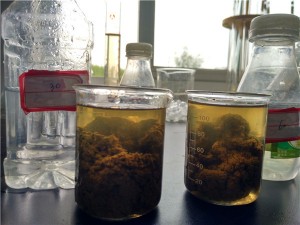 污水處理使用聚丙烯酰胺需注意哪些問題