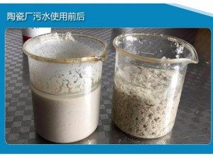 聚丙烯酰胺帶您了解污泥老化的原因