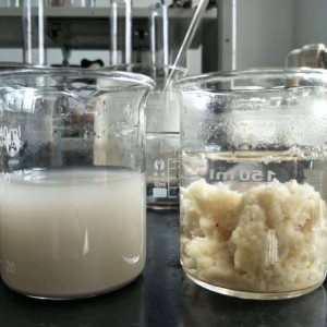 聚丙烯酰胺溶液配制的方法