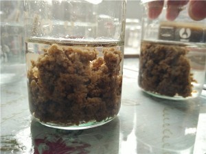 聚丙烯酰胺如何進(jìn)行分批投藥