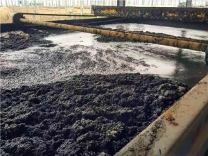 陽離子聚丙烯酰胺作用